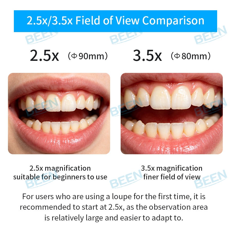 2.5x420mm Dental Loupes Dental - Medical Lab 评论和价格